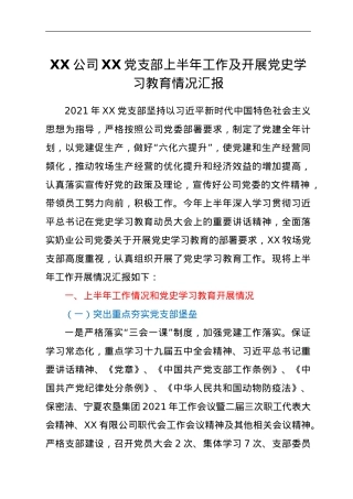XX公司XX党支部上半年工作及开展党史学习教育情况汇报.doc