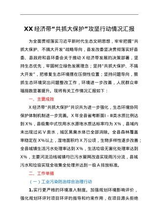 XX经济带“共抓大保护”攻坚行动情况汇报.docx