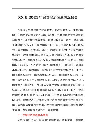 XX县2021年民营经济发展情况报告.doc
