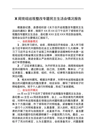 X局党组巡视整改专题民主生活会情况报告.docx