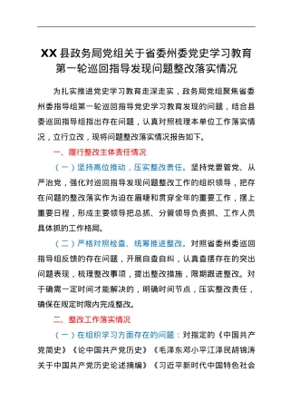 党史学习教育巡回指导组发现问题整改落实情况总结报告.docx