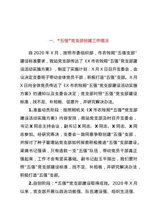 党支部“五强”党支部创建工作自评报告（农牧）.doc