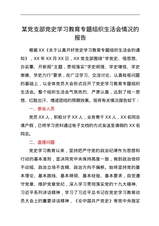 党支部党史学习教育专题组织生活会情况的报告.docx