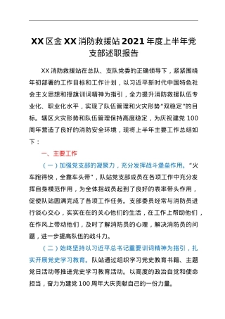 党支部述职报告.docx