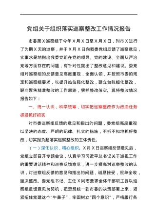 党组关于组织落实巡察整改工作情况报告.docx