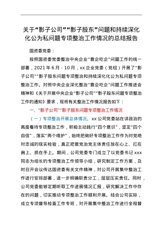 关于“影子公司”“影子股东”问题和持续深化化公为私问题专项整治工作情况的总结报告.docx