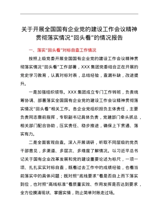 关于开展全国国有企业党的建设工作会议精神“回头看”的情况报告(1).doc