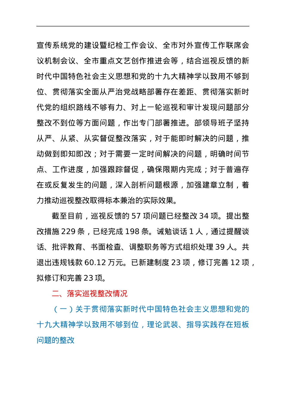 关于巡视整改工作进展情况报告.docx_第3页