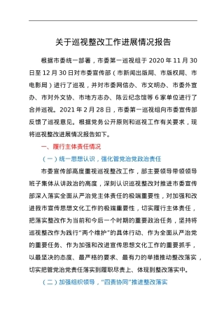 关于巡视整改工作进展情况报告.docx