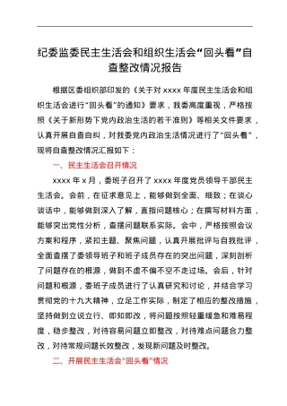 纪委监委民主生活会和组织生活会“回头看”自查整改情况报告.docx