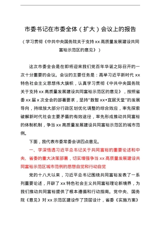 市委书记在市委全体（扩大）会议上的报告.doc