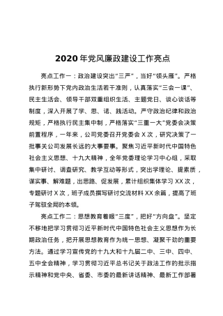 -2020年党风廉政建设工作亮点.docx