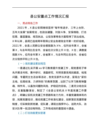 县公安重点工作情况汇报.docx