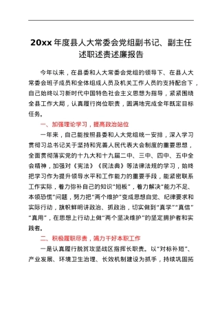县人大党组副书记副主任述职述责述廉报告范文.docx