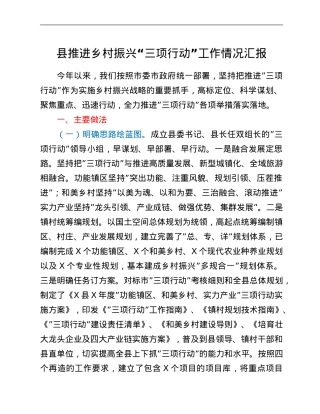 县推进乡村振兴“三项行动”工作情况汇报.Doc