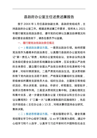 县政府办公室主任述责述廉报告.docx