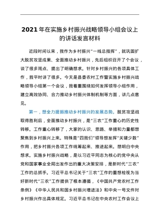 2021年在实施乡村振兴战略领导小组会议上的讲话发言材料.docx