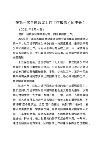 在第一次全体会议上的工作报告（团中央）.docx