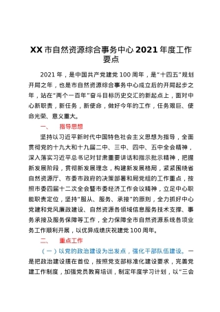 XX市自然资源综合事务中心2021年度工作要.docx