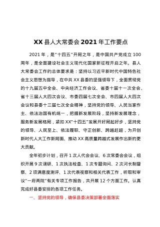 XX县人大常委会2021年工作要点.docx