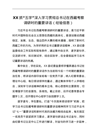 XX抓“五学” 深入学习贯彻总书记在西藏考察调研时的重要讲话（经验信息）.docx