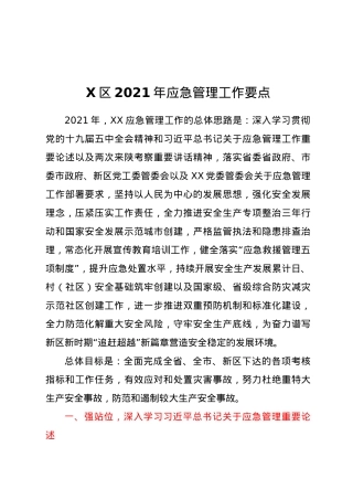X区2021年应急管理工作要点.docx