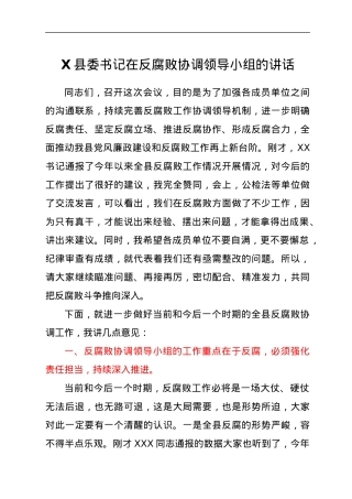 X县委书记在反腐败协调领导小组的讲话.docx