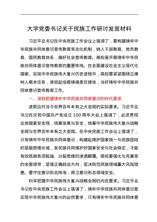 大学党委书记关于民族工作研讨发言材料.docx