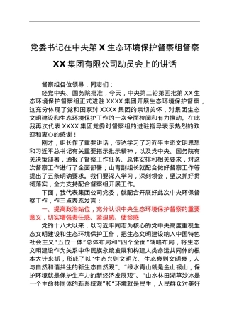 党委书记在中央第X生态环境保护督察组督察XX集团有限公司动员会上的讲话.docx