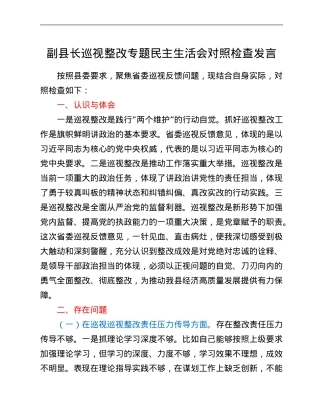 副县长巡视整改专题民主生活会对照检查发言.Doc