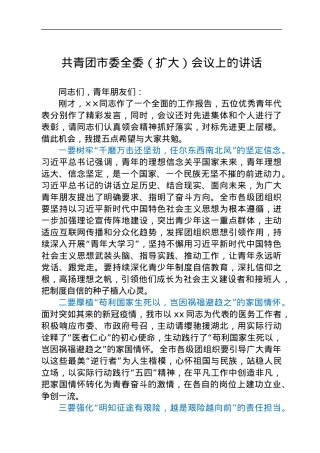 共青团市委全委（扩大）会议上的讲话.docx