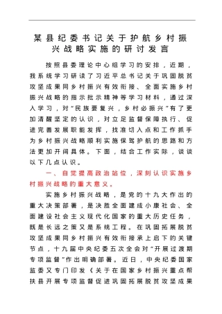 某县纪委书记关于护航乡村振兴战略实施的研讨发言.doc
