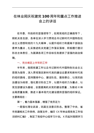 庆祝建党100周年和重点工作推进会上的讲话.doc