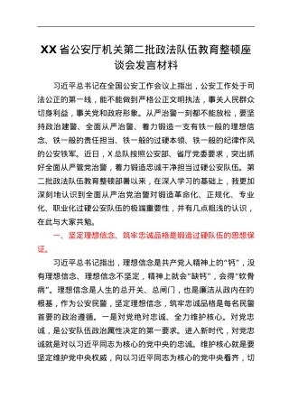 省XX厅机关第二批政法队伍教育整顿座谈会发言材料.docx