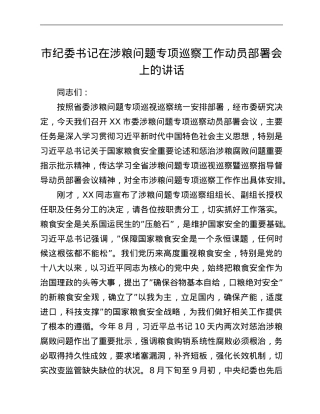 市纪委书记在涉粮问题专项巡察工作动员部署会上的讲话.Doc