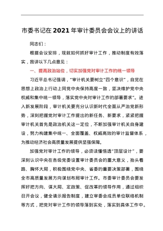 市委书记在2021年审计委员会会议上的讲话发言材料.docx