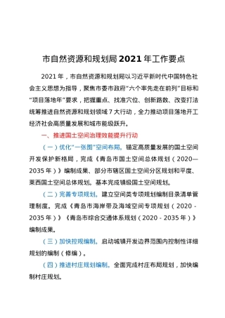 市自然资源和规划局2021年工作要点.docx