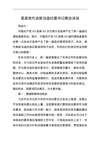 县党代会新当选纪委书记表态讲话.docx