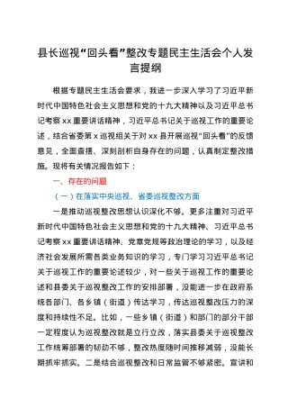 县长巡视“回头看”整改专题民主生活会个人发言提纲.doc