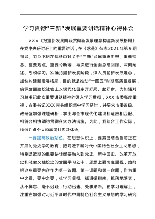 学习贯彻“三新”发展重要讲话精神心得体会.docx