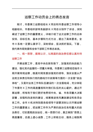 巡察工作动员会上的表态发言.docx