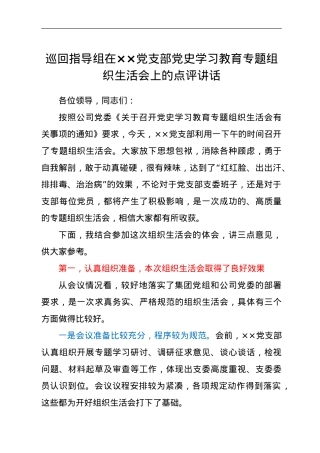 巡回指导组在党支部党史学习教育专题组织生活会上的点评讲话.doc