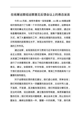 巡视意见反馈表态发言.doc