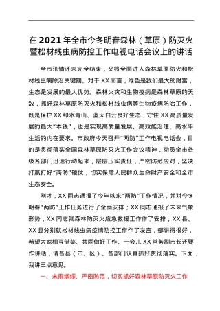 在2021年全市今冬明春森林（草原）防灭火暨松材线虫病防控工作电视电话会议上的讲话.docx