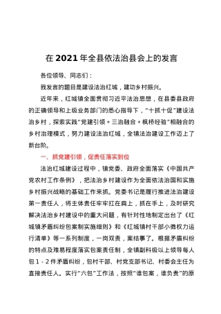 在2021年全县依法治县会上的发言.docx