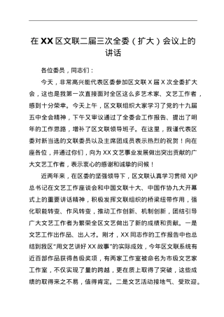 在XX区文联二届三次全委（扩大）会议上的讲话.doc