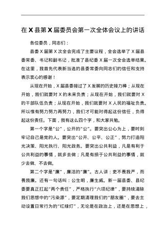 在X县第X届委员会第一次全体会议上的讲话.docx