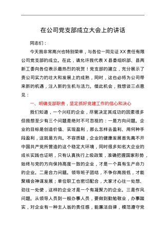 在公司党支部成立大会上的讲话.docx
