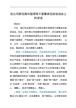 在公司新任领导干部任前谈话会上的讲话.docx