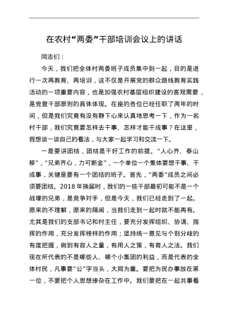 在农村“两委”干部培训会议上的讲话.doc